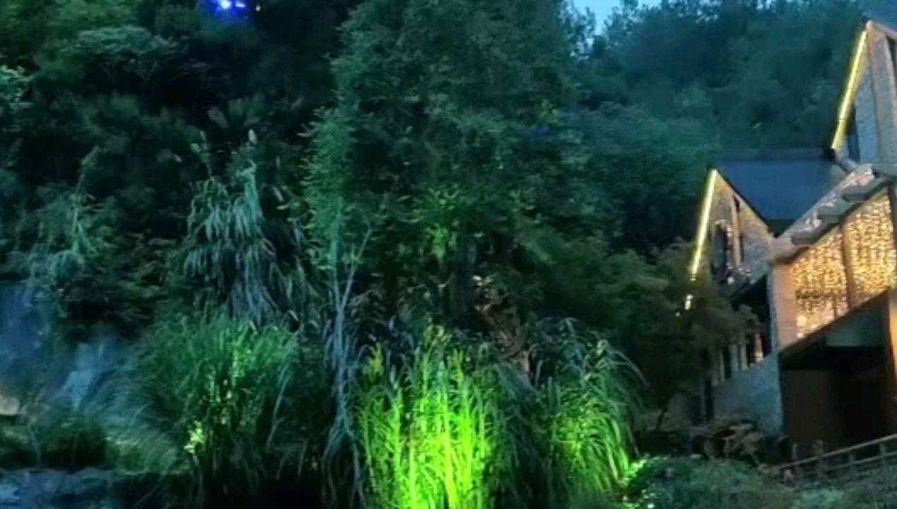 饥饿的松鼠救援
